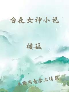 白夜女神小说