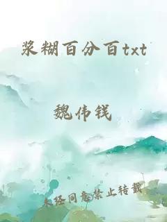 浆糊百分百txt