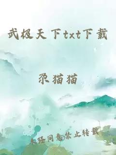 武极天下txt下载