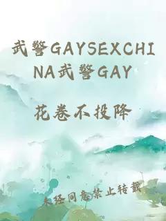 武警GAYSEXCHINA武警GAY