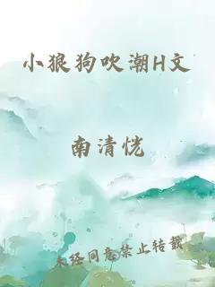 小狼狗吹潮H文