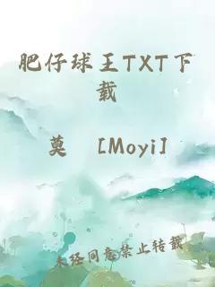 肥仔球王TXT下载