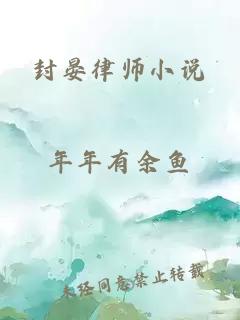 封晏律师小说