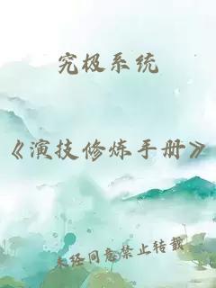 究极系统