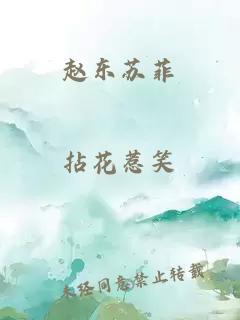 赵东苏菲