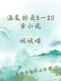 温柔的岳8一20章小说