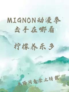 MIGNON动漫拳击手在哪看