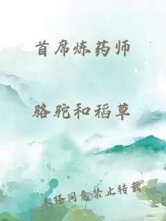 首席炼药师