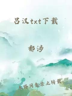 吕汉txt下载