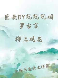 臣妻BY阮阮阮烟罗古言