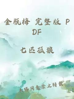 金瓶梅 完整版 PDF