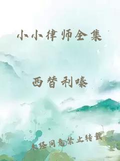 小小律师全集