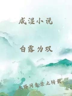 咸湿小说