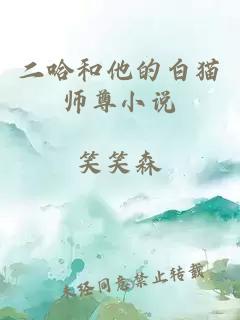 二哈和他的白猫师尊小说