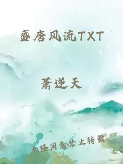 盛唐风流TXT