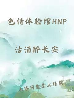 色情体验馆HNP