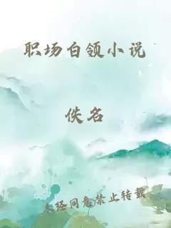 职场白领小说