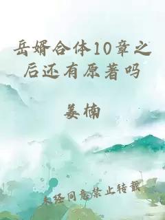 岳婿合体10章之后还有原著吗