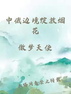 中俄边境绽放烟花