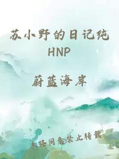 苏小野的日记纯HNP