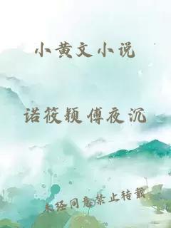 小黄文小说