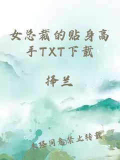 女总裁的贴身高手TXT下载