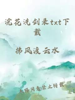 浣花洗剑录txt下载