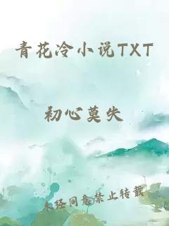 青花冷小说TXT