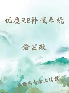 优质RB补偿系统