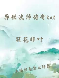 异世法师传奇txt