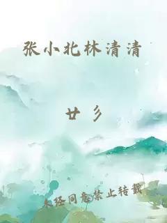 张小北林清清