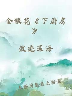 金银花《下厨房》