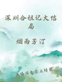 深圳合租记大结局