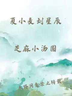 夏小麦刘星辰