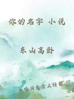 你的名字 小说