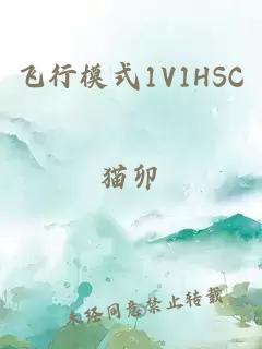 飞行模式1V1HSC