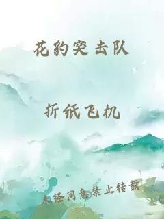 花豹突击队