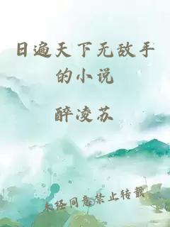 日遍天下无敌手的小说