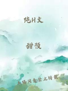 纯H文