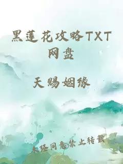 黑莲花攻略TXT网盘