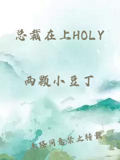 总裁在上HOLY