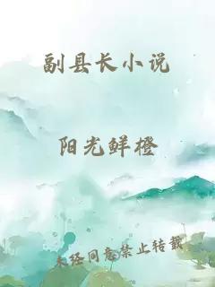 副县长小说