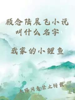 顾念陆晨飞小说叫什么名字