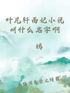 叶凡轩雨妃小说叫什么名字啊