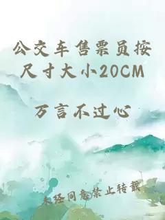 公交车售票员按尺寸大小20CM