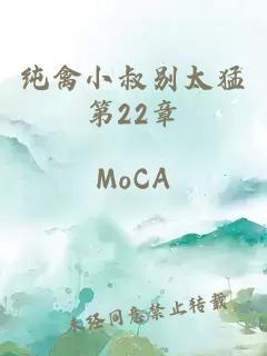 纯禽小叔别太猛第22章