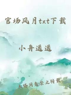 官场风月txt下载