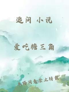 追问 小说