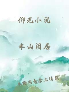 仰光小说