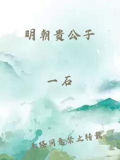 明朝贵公子